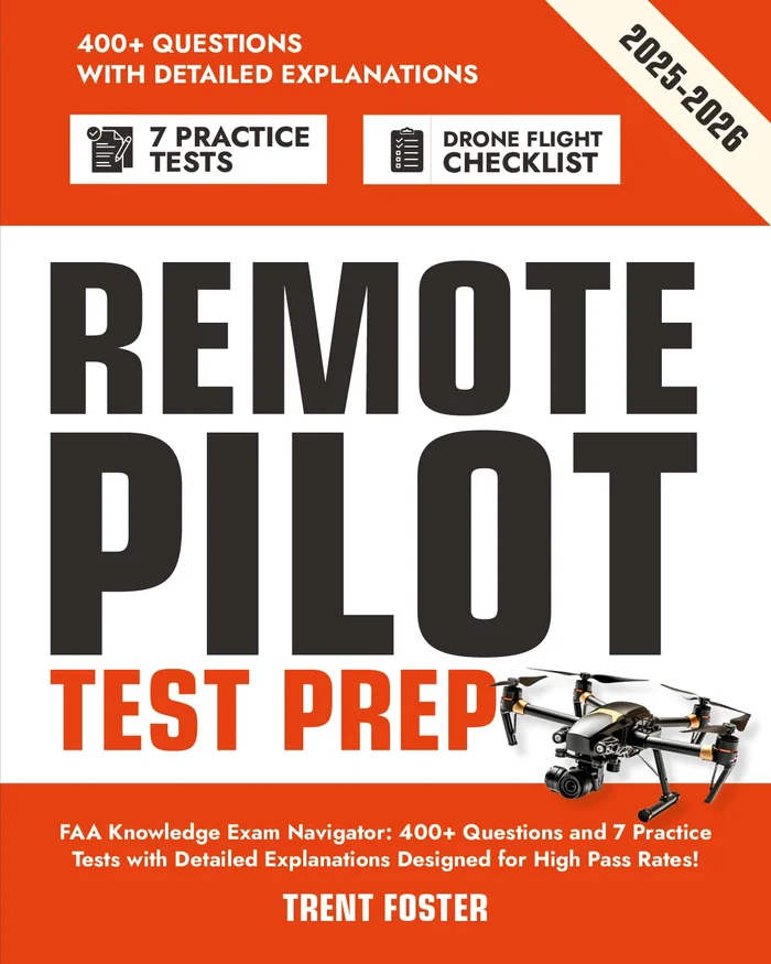 Screen/Space: The projected image in contemporary art (Rethinking Art's Histories)