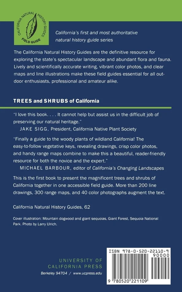 Sense and Sensibility - Image 2