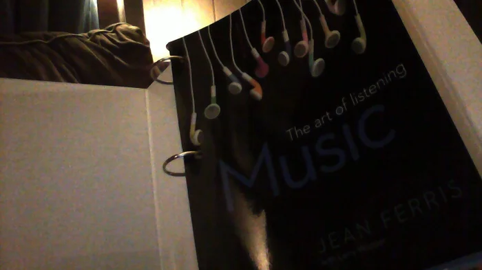 Sheela Gowda: Remains