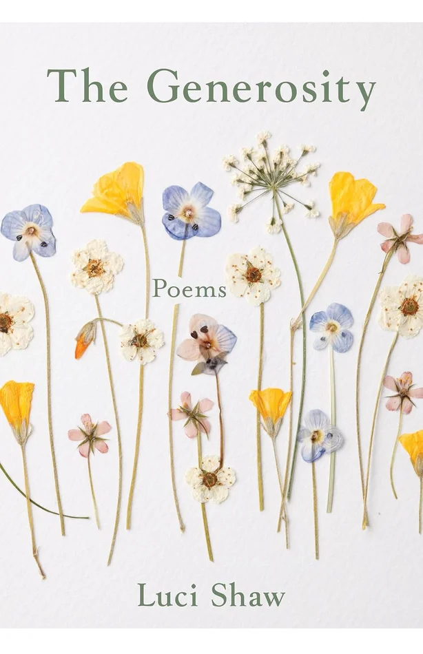 Study Guide: A Long Way Gone by Ishmael Beah (SuperSummary)