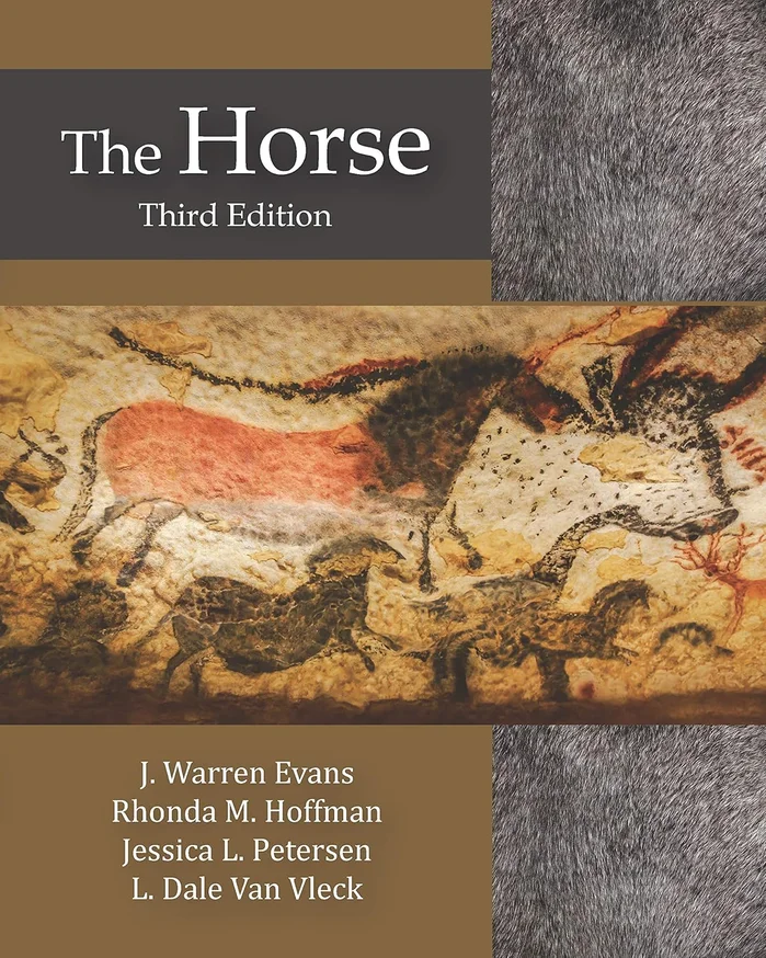 Sweet Mountain Music