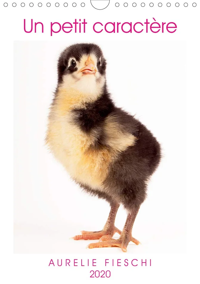 Symbols in Art and Religion: The Indian and the Comparative Perspectives