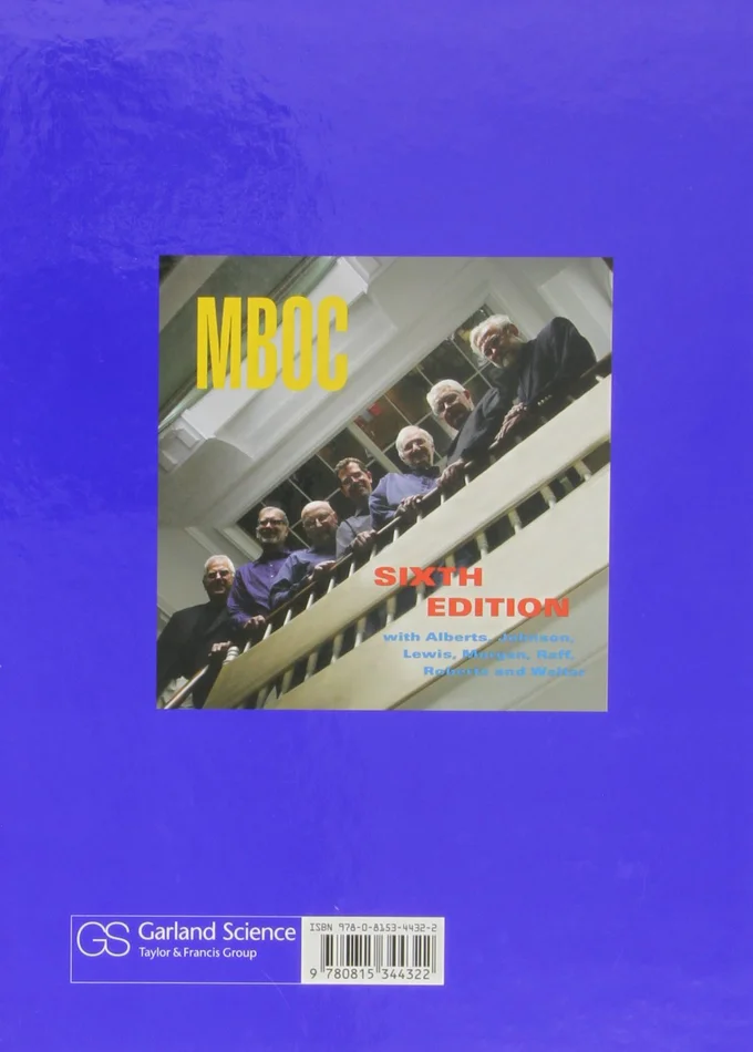 The Castaways: A Novel - Image 2