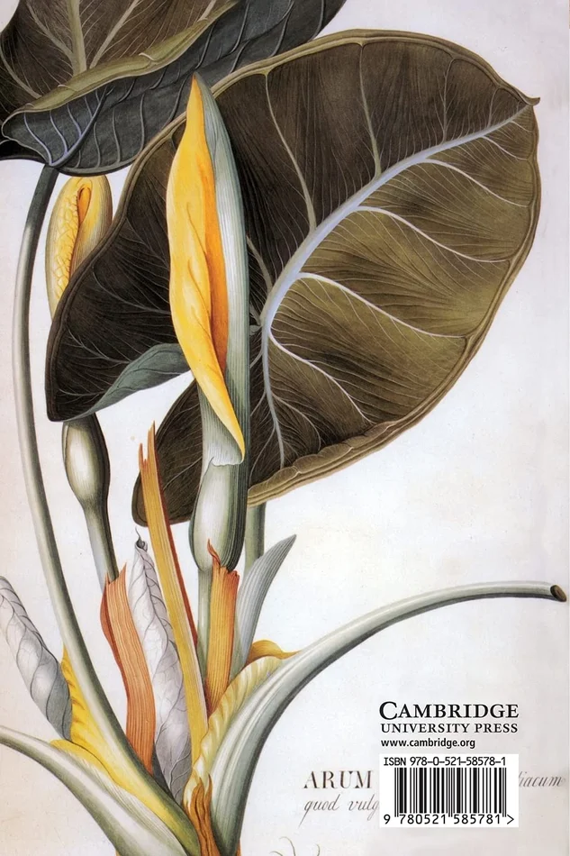 The Complete Guide to Game Audio: For Composers, Musicians, Sound Designers, Game Developers - Image 2