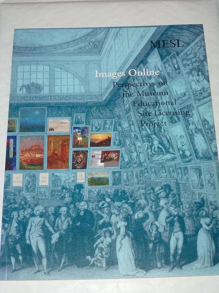 The 'do-it-yourself' artwork: Participation from Fluxus to New Media (Rethinking Art's Histories)