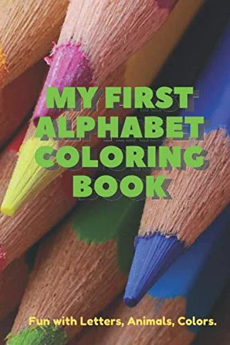 The Enigmatic Body: Essays on the Arts (Cambridge Studies in New Art History and Criticism)