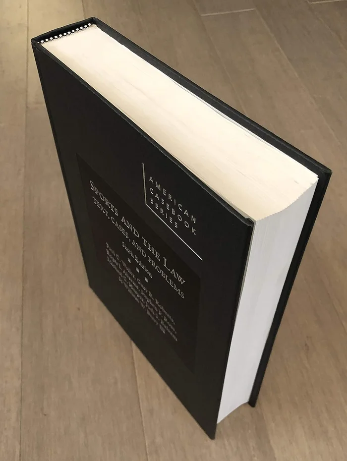 The Gamin de Paris in Nineteenth-Century Visual Culture: Delacroix, Hugo, and the French Social Imaginary (Routledge Research in Art History Book 1) - Image 5