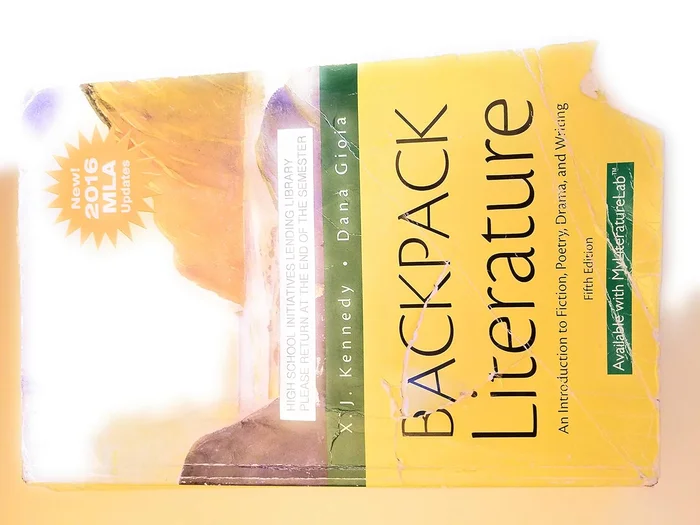 The Gendered Society