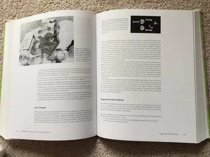 The Lady of the Aroostook - Image 3