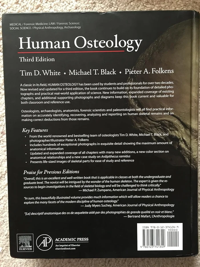 The Lady of the Aroostook - Image 2