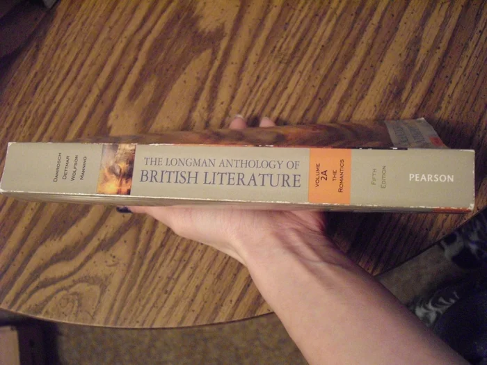 The Lesbian Polyamory Reader - Image 4