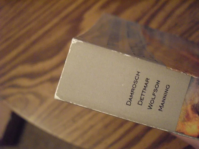 The Lesbian Polyamory Reader - Image 6