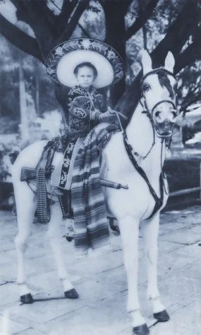 The Printing Press as an Agent of Change: Communications and Cultural Trans (Complete in One Volume)