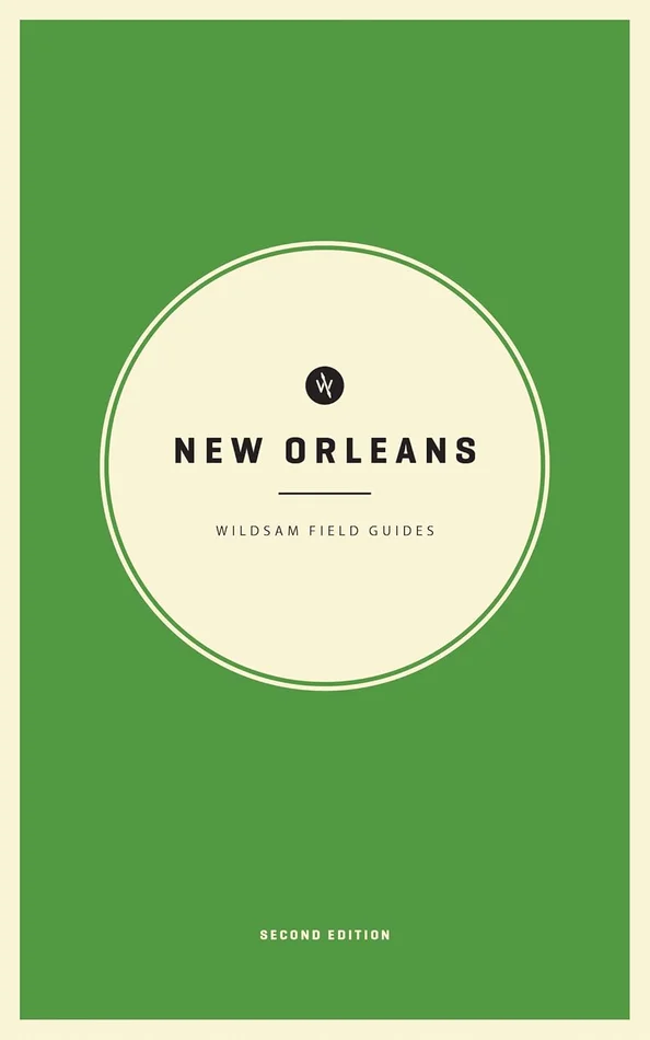The Reading Comprehension Blueprint Activity Book: A Practice & Planning Guide for Teachers