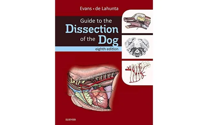 The Rust Programming Language, 2nd Edition