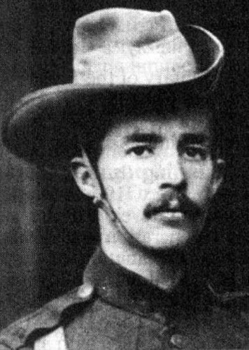 The Vasopressor & Inotrope Handbook: A Practical Guide for Healthcare Professionals