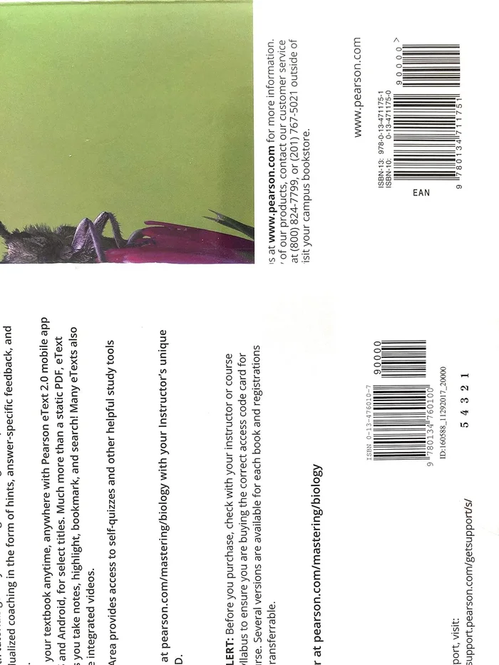 The Wheat Princess - Image 2