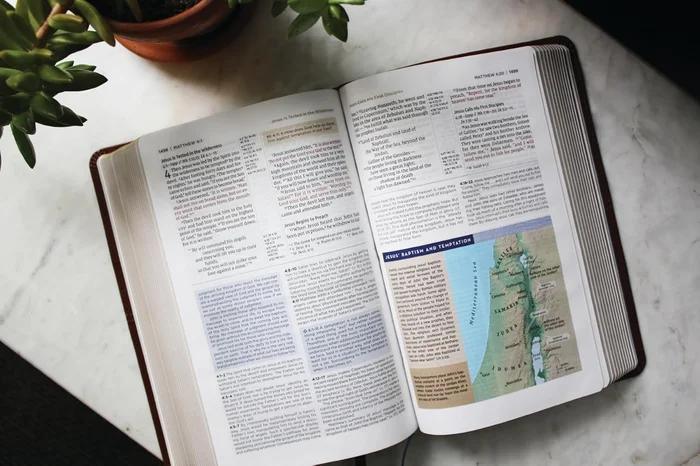 The Writing Revolution 2.0: A Guide to Advancing Thinking Through Writing in All Subjects and Grades - Image 5