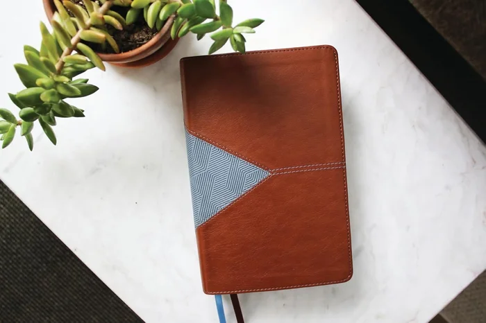 The Writing Revolution 2.0: A Guide to Advancing Thinking Through Writing in All Subjects and Grades - Image 2