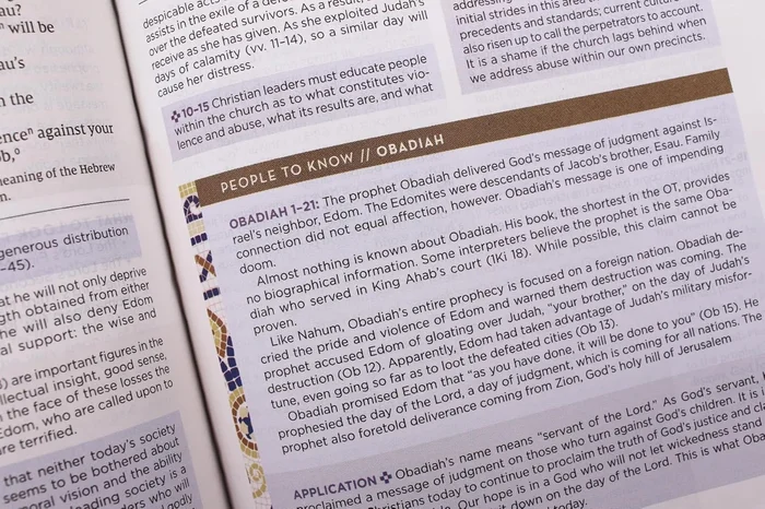 The Writing Revolution 2.0: A Guide to Advancing Thinking Through Writing in All Subjects and Grades - Image 7