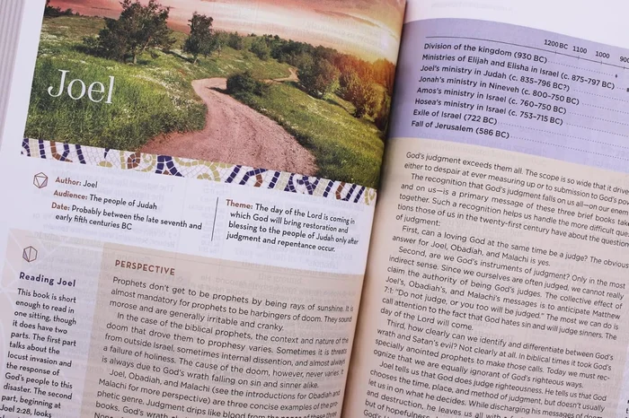 The Writing Revolution 2.0: A Guide to Advancing Thinking Through Writing in All Subjects and Grades - Image 6