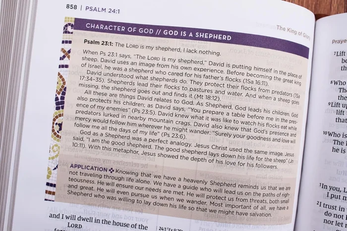 The Writing Revolution 2.0: A Guide to Advancing Thinking Through Writing in All Subjects and Grades - Image 8