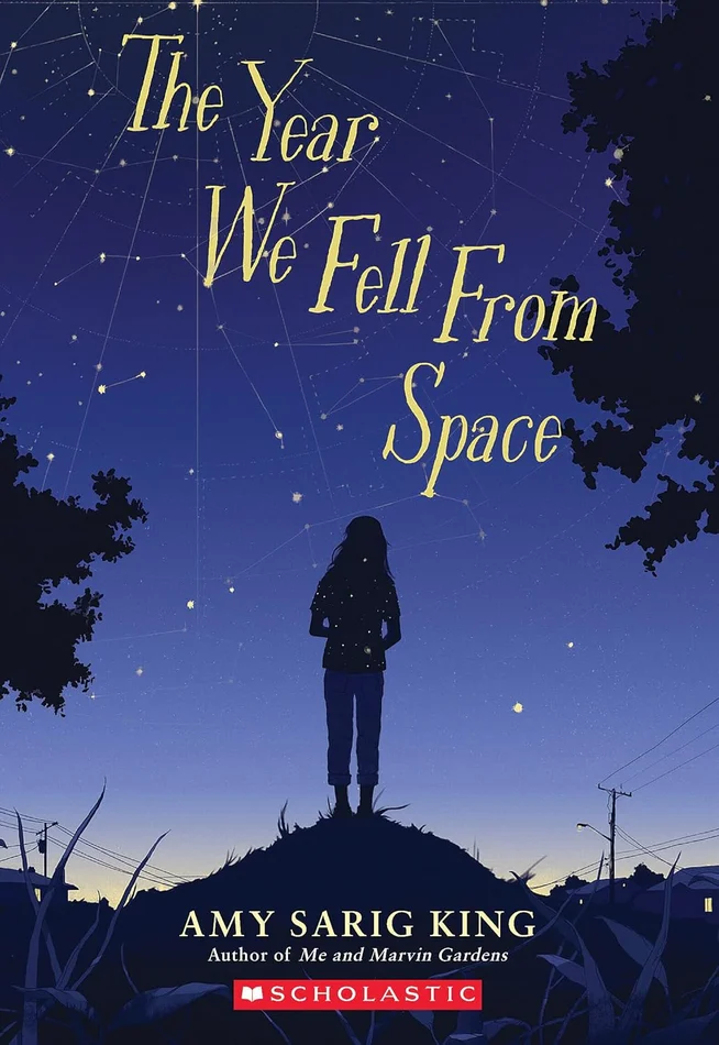 The Year We Fell From Space (Scholastic Gold)