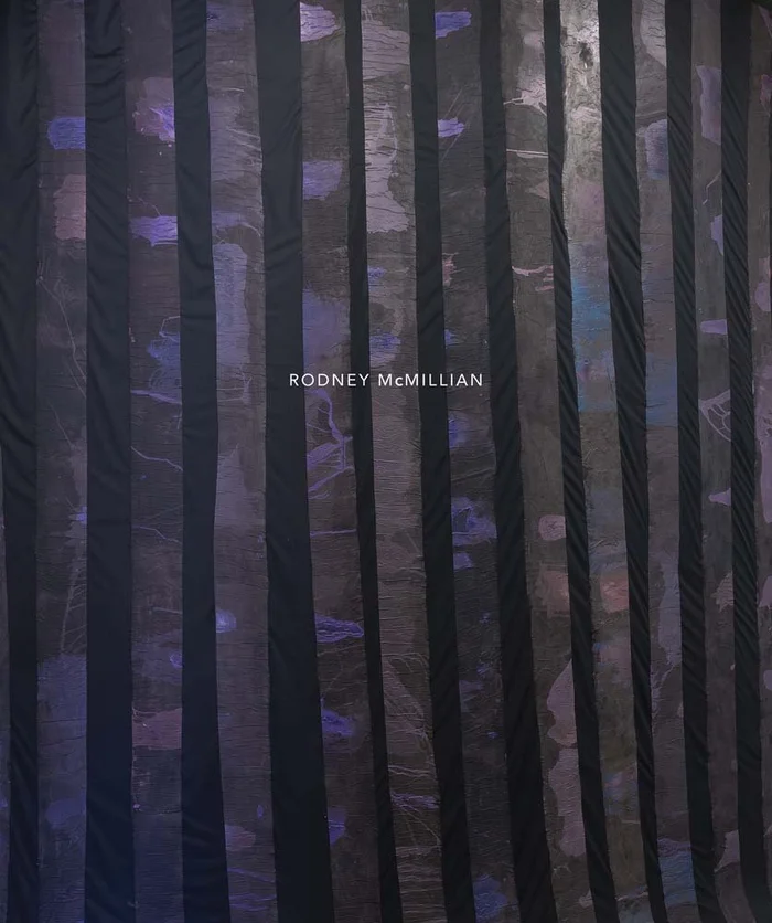 Video Production: Disciplines and Techniques