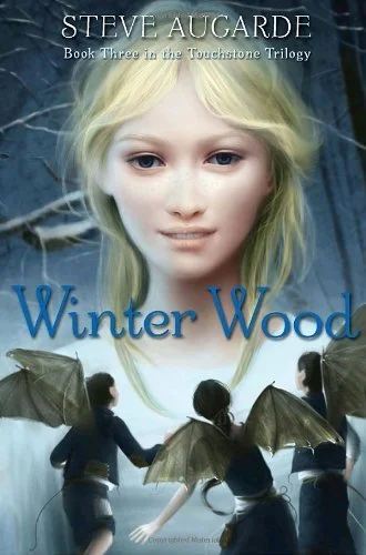 Winter Wood: Book 3 in the Touchstone Trilogy
